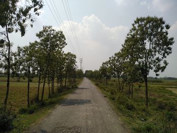 Road amidst trees on field against sky