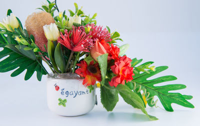 Close-up of flowers against white background