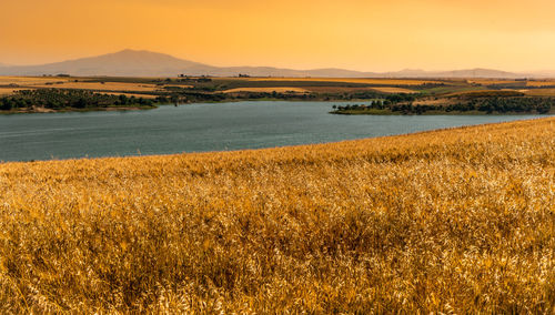 Scenic view of landscape against sky during sunset