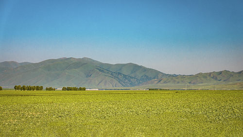 landscape