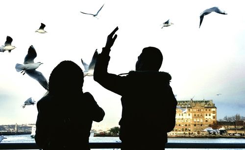 Low angle view of silhouette birds flying over river against sky