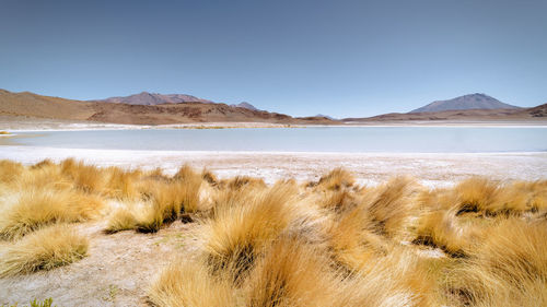 Scenic view of desert against clear sky