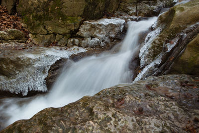 Scenic view of waterfall in forest