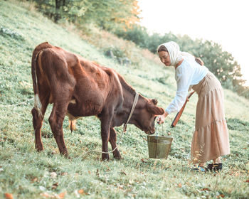 A rural girl in ukrainian russian folk clothes takes care of and feeds a domestic calf in a meadow