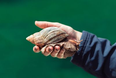 Close-up of hand holding snail against green background
