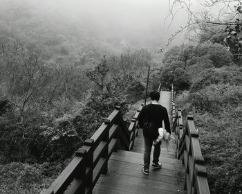 Rear view of man walking on stairs along trees