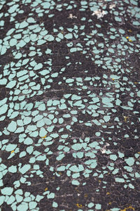 Full frame shot of dry leaves