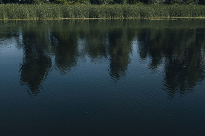 Reflection of trees on lake