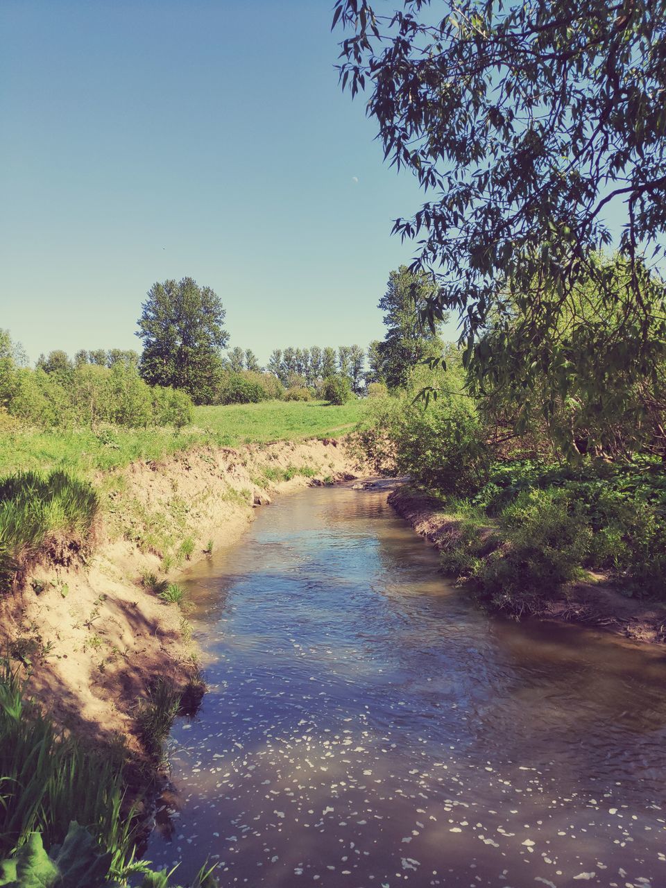 Nature Park River Tree Water Clear Sky Blue Sky Landscape Plant Grass