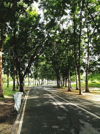 Road amidst trees