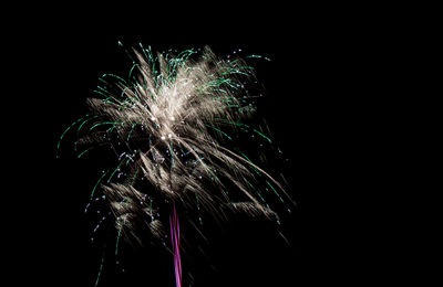 Low angle view of firework display at night