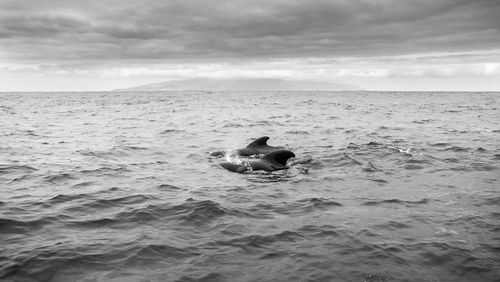 Silhouette man in sea against sky