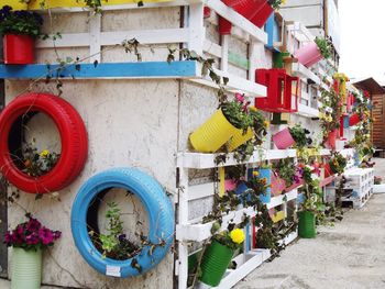 Potted plants hanging on wall