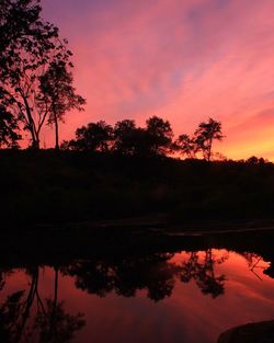 Silhouette of trees at sunset