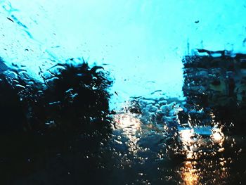 Close-up of wet swimming in sea