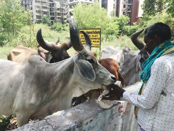 Men with arms outstretched against built structure