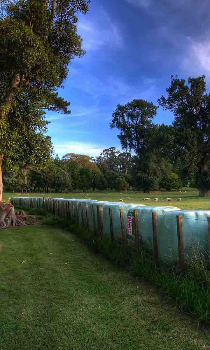 tree, water, sky, tranquility, tranquil scene, nature, scenics, grass, beauty in nature, growth, cloud - sky, park - man made space, lake, river, railing, day, idyllic, outdoors, fence, landscape