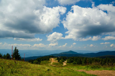 Scenic view of field against sky