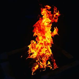 Close-up of bonfire at night