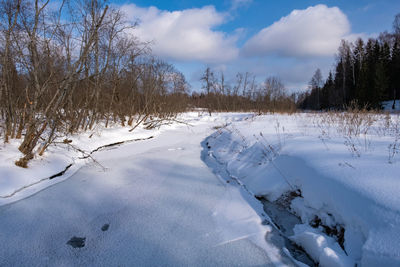 Snow covered land and trees against sky