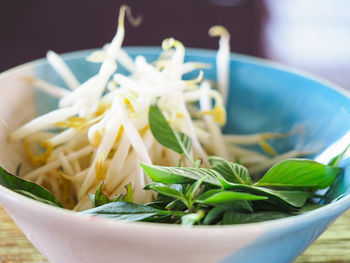 Close-up of salad in bowl