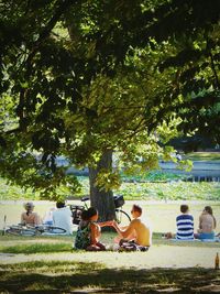 People sitting on tree