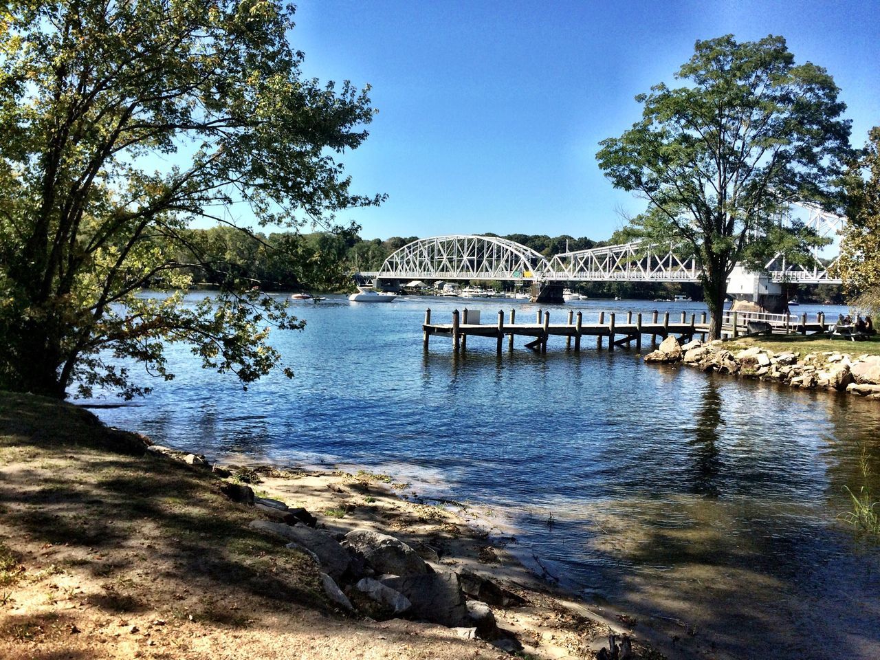 water, tree, built structure, architecture, blue, clear sky, tranquility, river, bridge - man made structure, tranquil scene, lake, nature, sky, scenics, day, building exterior, beauty in nature, sunlight, connection, pier