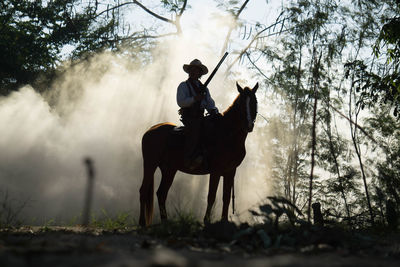 Side view of man with horse in smoky forest