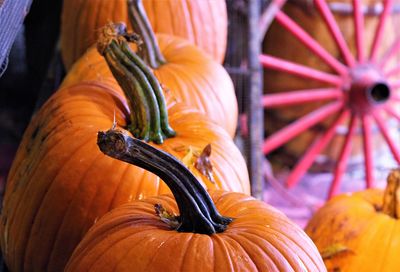 Close-up of pumpkin for sale at market stall