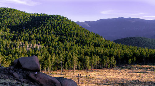 Scenic view of tree mountains against sky