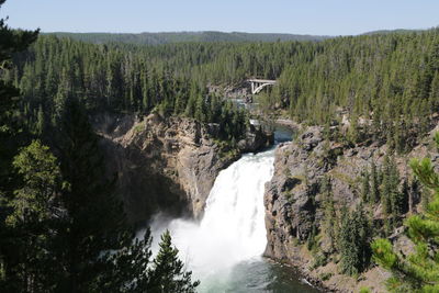 Scenic view of waterfall in forest