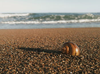 Surface level of sandy beach