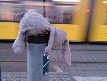 Stuffed toy on pole by tramway