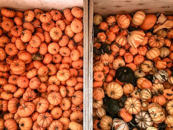 Full frame shot of pumpkins for sale at market