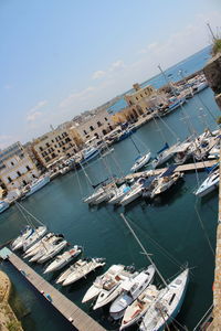 High angle view of sailboats moored at harbor