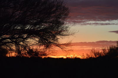 Silhouette trees against sky during sunset