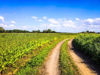 Dirt road in rural landscape