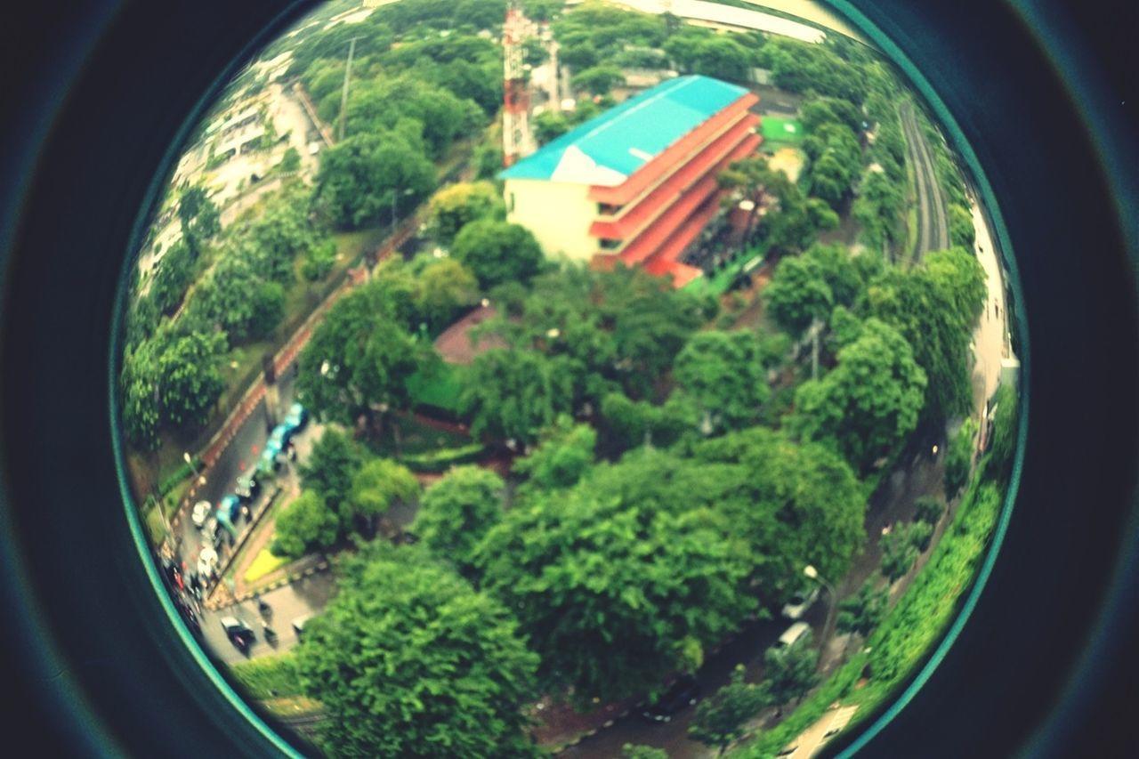 green color, tree, circle, growth, green, high angle view, nature, lush foliage, no people, plant, geometric shape, day, outdoors, built structure, window, fish-eye lens, beauty in nature, architecture, glass - material