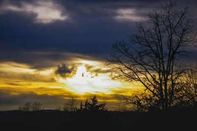 Silhouette of trees against cloudy sky