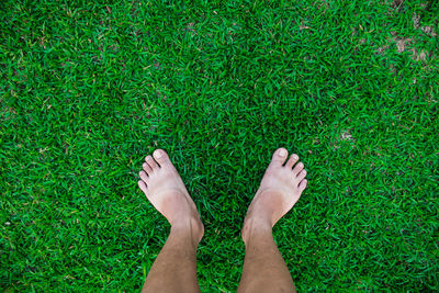 Low section of young man standing on grass