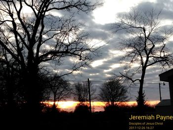 Low angle view of silhouette bare trees against sky