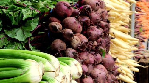 Close-up of vegetables for sale