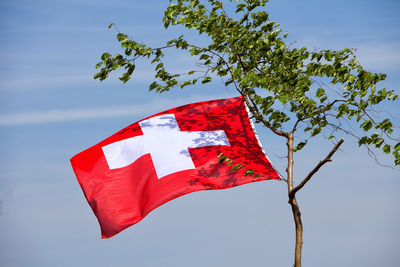 Low angle view of red flag on tree against sky