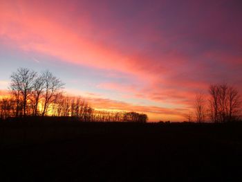 Silhouette of trees at sunset