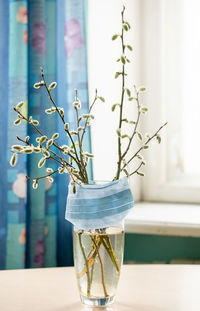 Glass vase with willow branches with medical mask put on her is standing on table before of window.