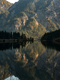 Scenic view of lake in forest against sky