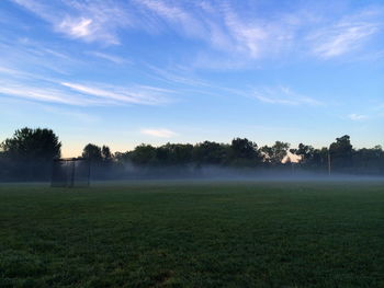 Scenic view of grassy field against sky