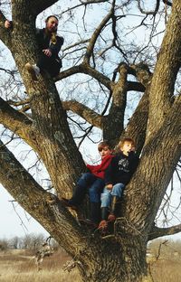 Family on bare tree against sky