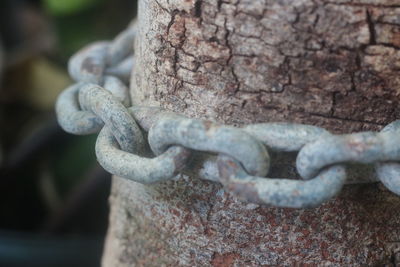 Close-up of rusty chain