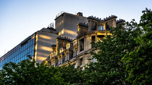 Low angle view of trees with buildings in background